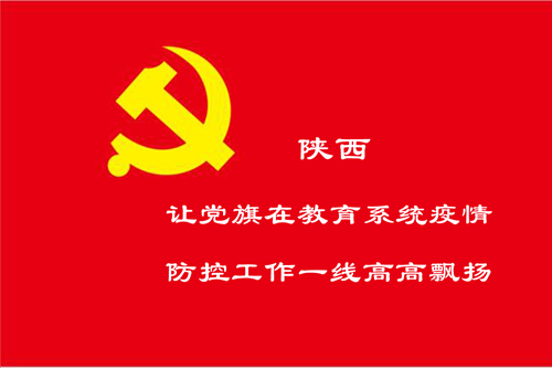 陕西：让党旗在教育系统疫情防控工作一线高高飘扬